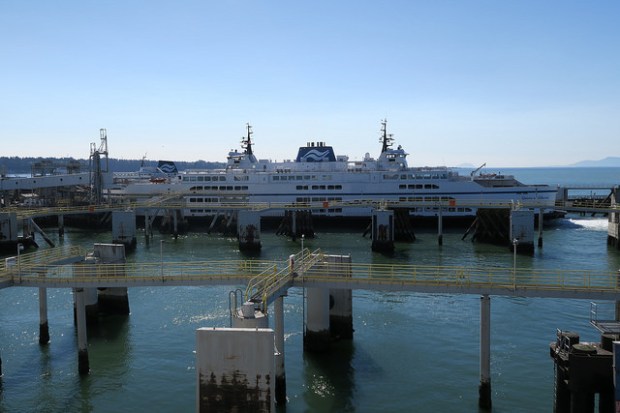 36012622216_1e6b209499_z