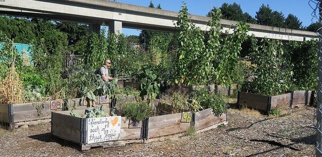 jardinière urbaine Vancouver